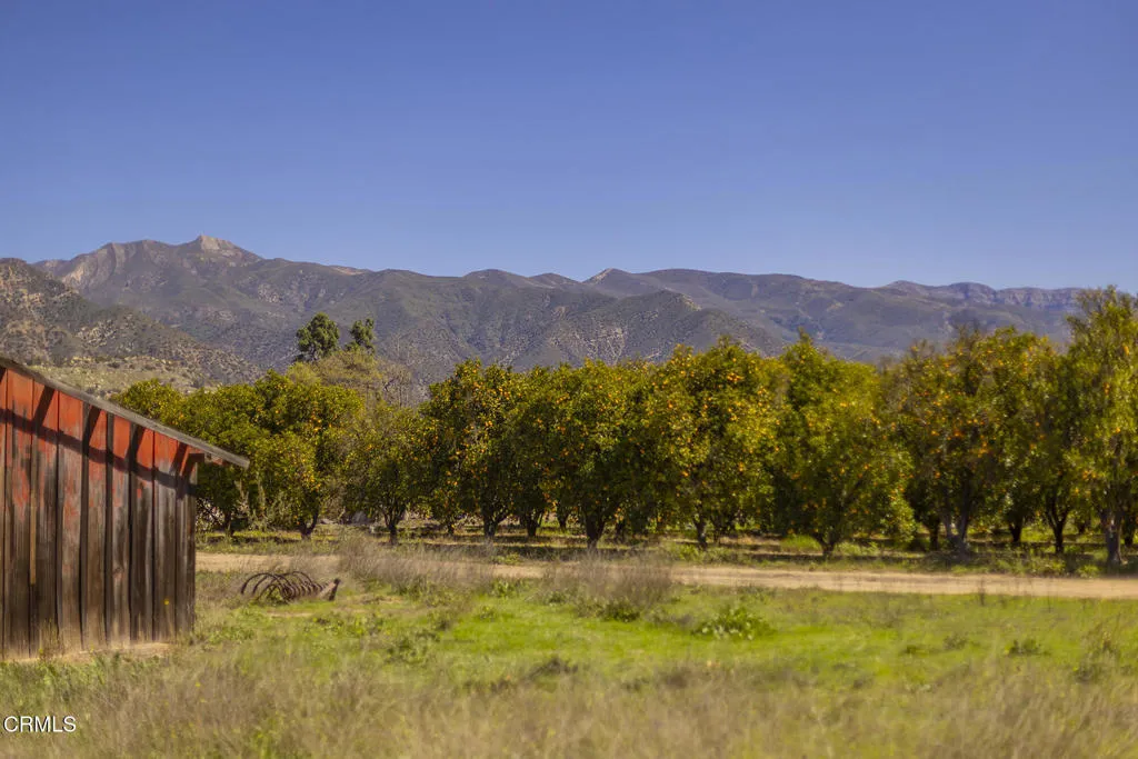 1201 Grand, Ojai, CA, 93023