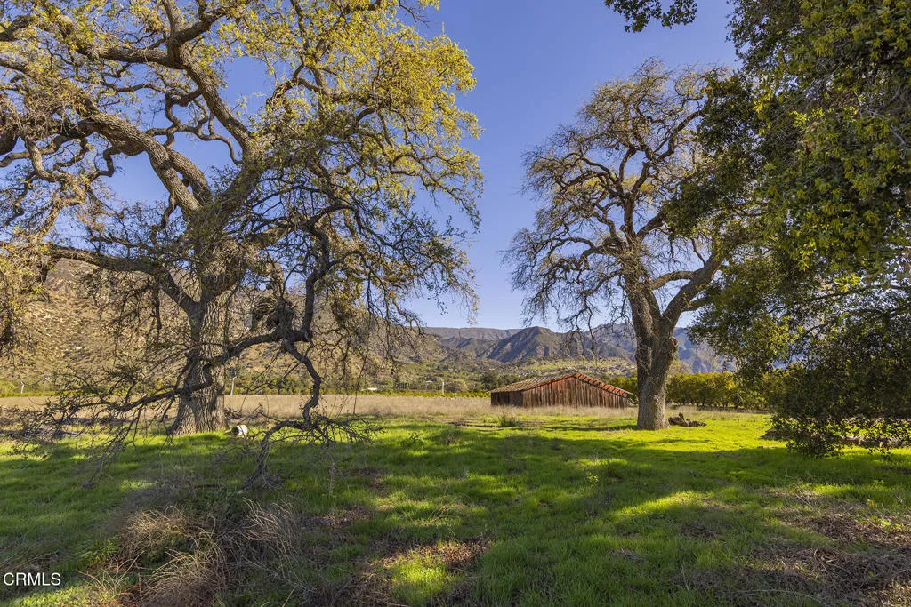 1201 Grand, Ojai, CA, 93023