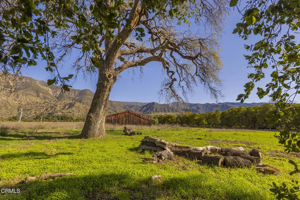 1201 Grand, Ojai, CA, 93023