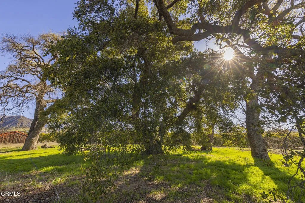 1201 Grand, Ojai, CA, 93023