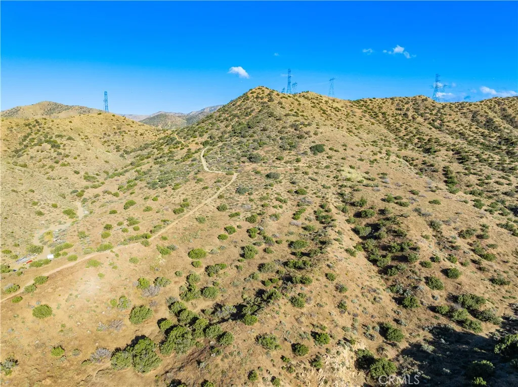 Acton, CA 93550
