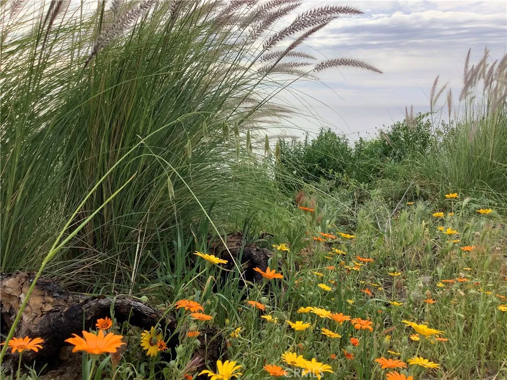 0 Coal Canyon Rd, Malibu, CA 90265 - Photo 4 of 7, Malibu, CA