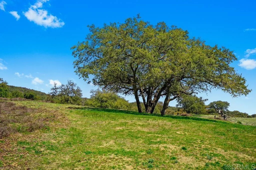 25677 Mesa Grande, Santa Ysabel, CA, 92070