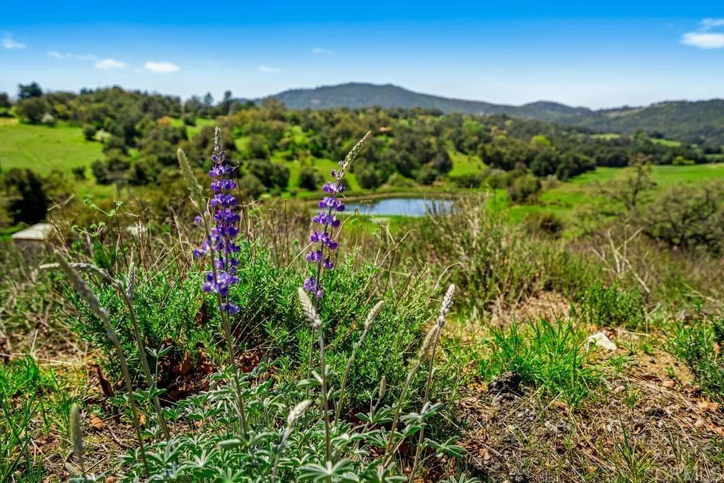 25677 Mesa Grande, Santa Ysabel, CA, 92070