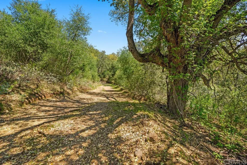25677 Mesa Grande, Santa Ysabel, CA, 92070