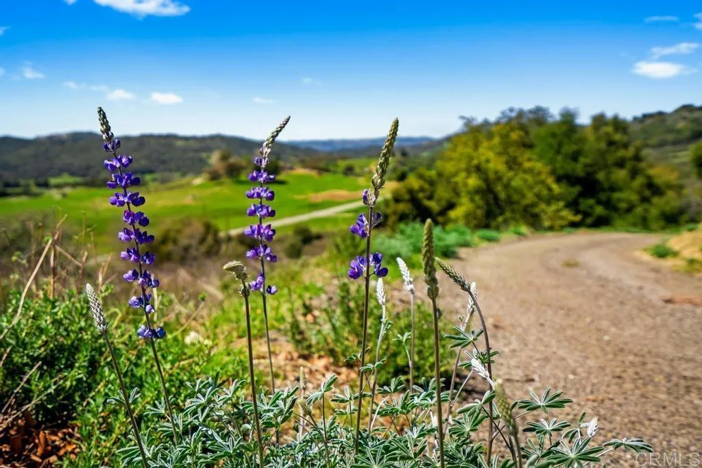 25677 Mesa Grande, Santa Ysabel, CA, 92070