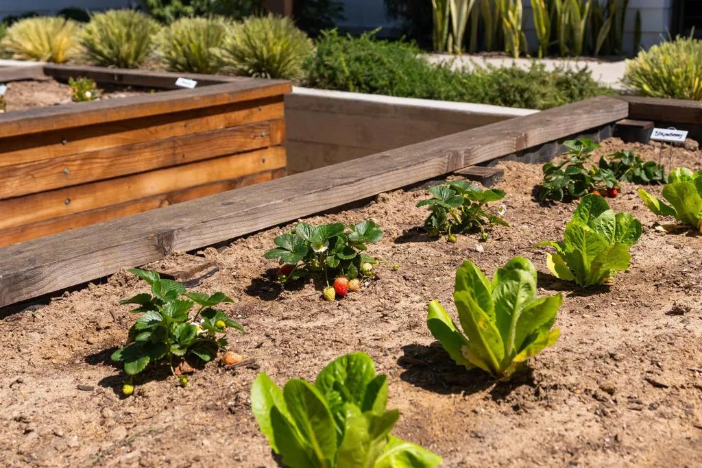 Photo #33: NDP2603709 Listing: Photo #33