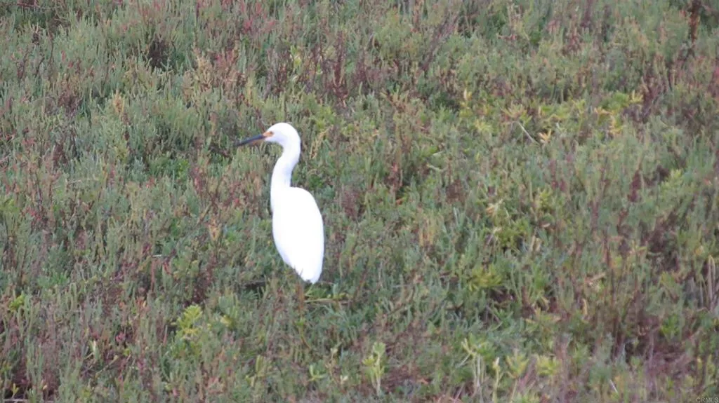 Photo #11: PTP2602903 Listing: Photo #11