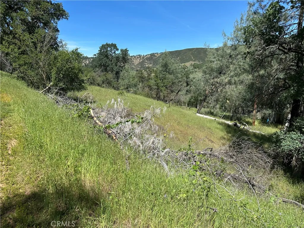Frying Pan Rd Lot 14, Borrego Springs, CA, 92004