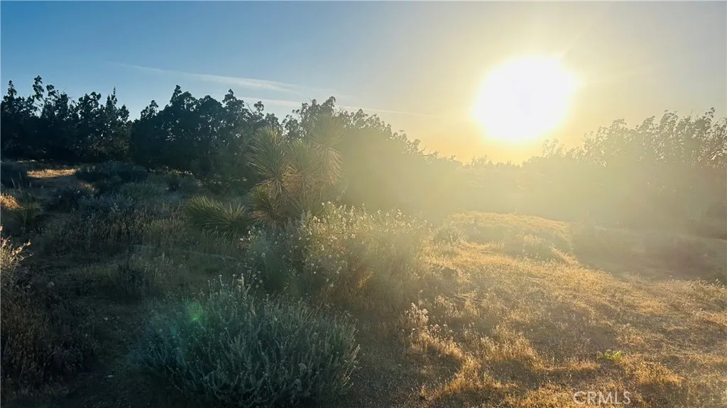 9132 Candlewood, Apple Valley, CA, 92308