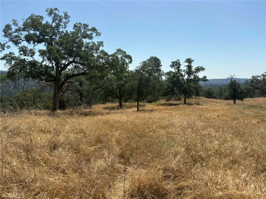 Coarsegold, CA 93614