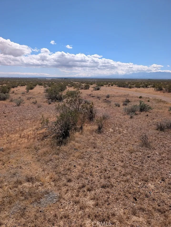 2 Wintergreen Rd, Pinon Hills, CA, 92372