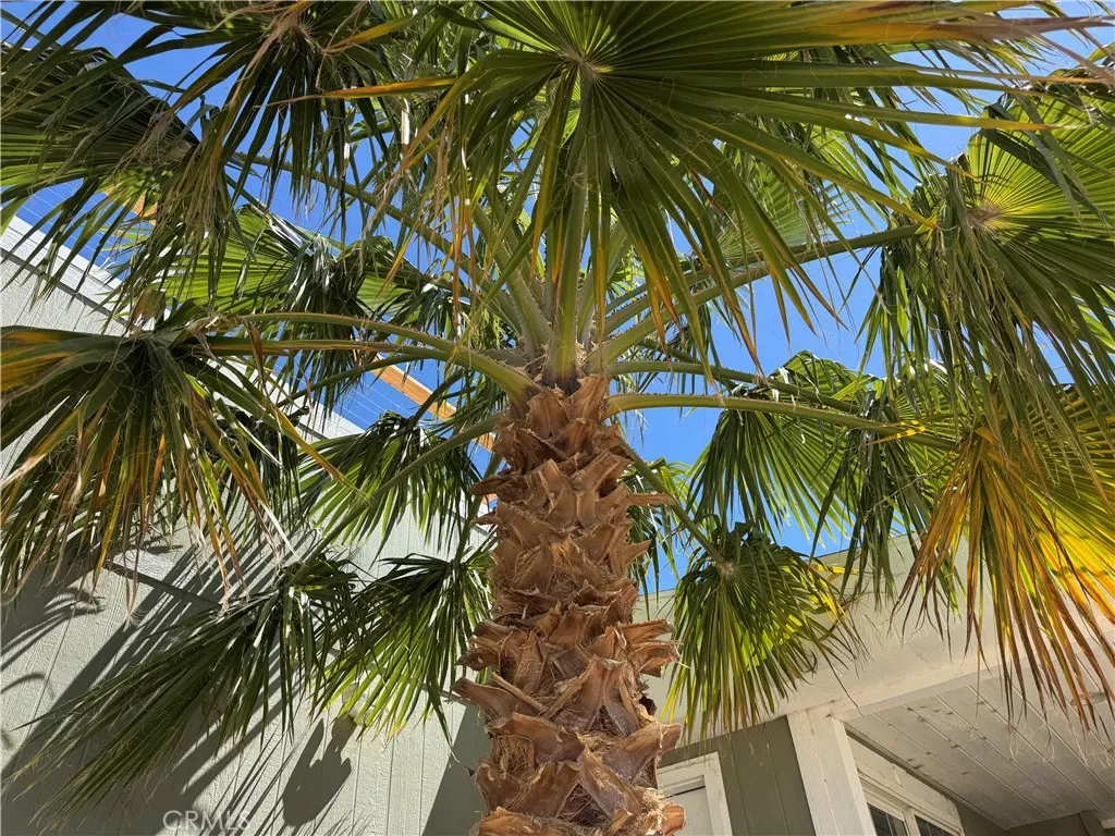 3397 Hwy 95 UNIT&nbsp;505, Blythe, CA, 92225