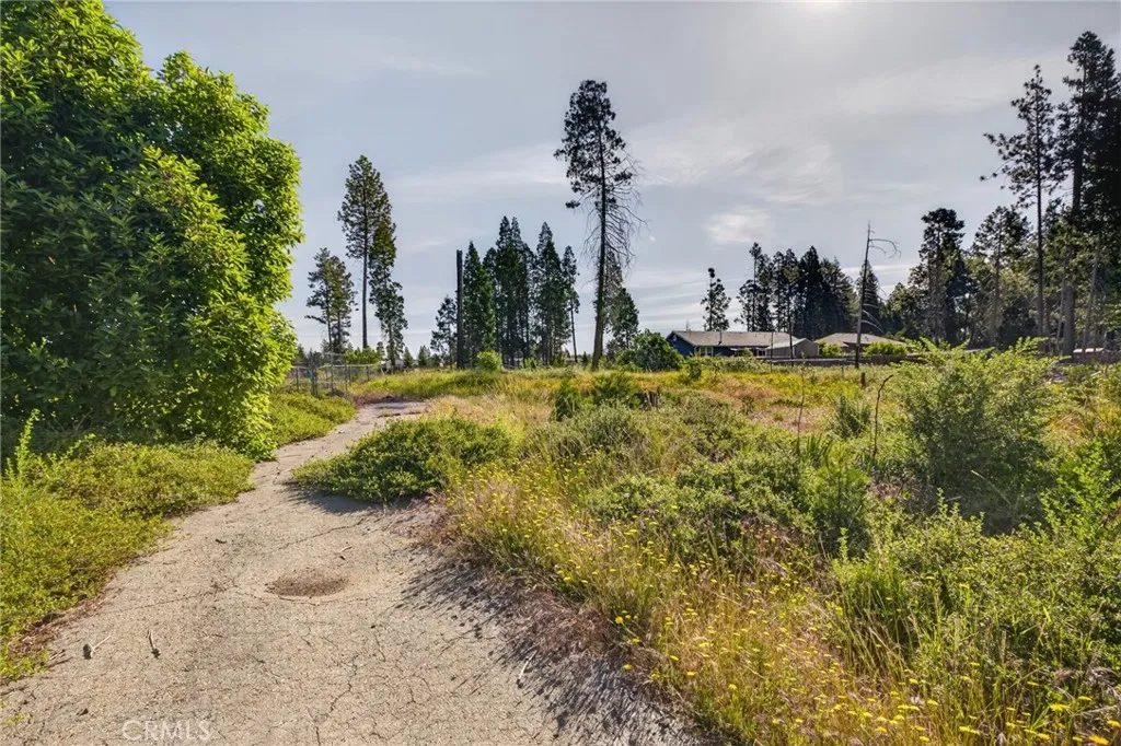 Magalia, CA 95954