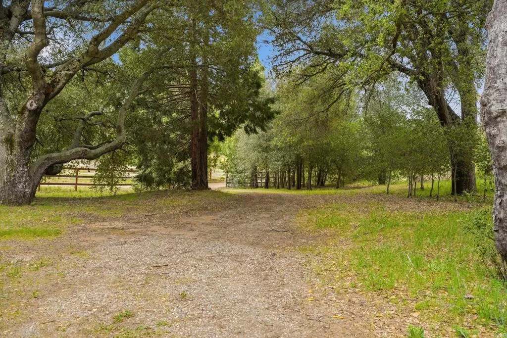 5867 Forest Meadow, Julian, CA 92036 - Photo 3 of 40, Julian, CA