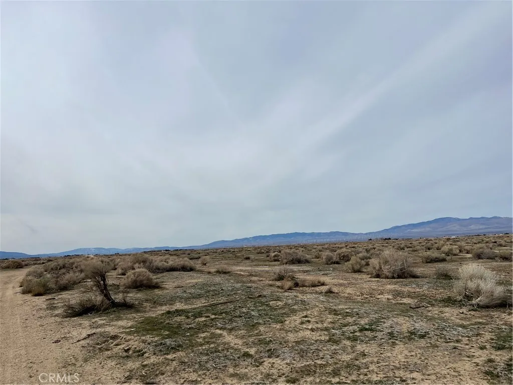0 Rose, Lucerne Valley, CA, 92356