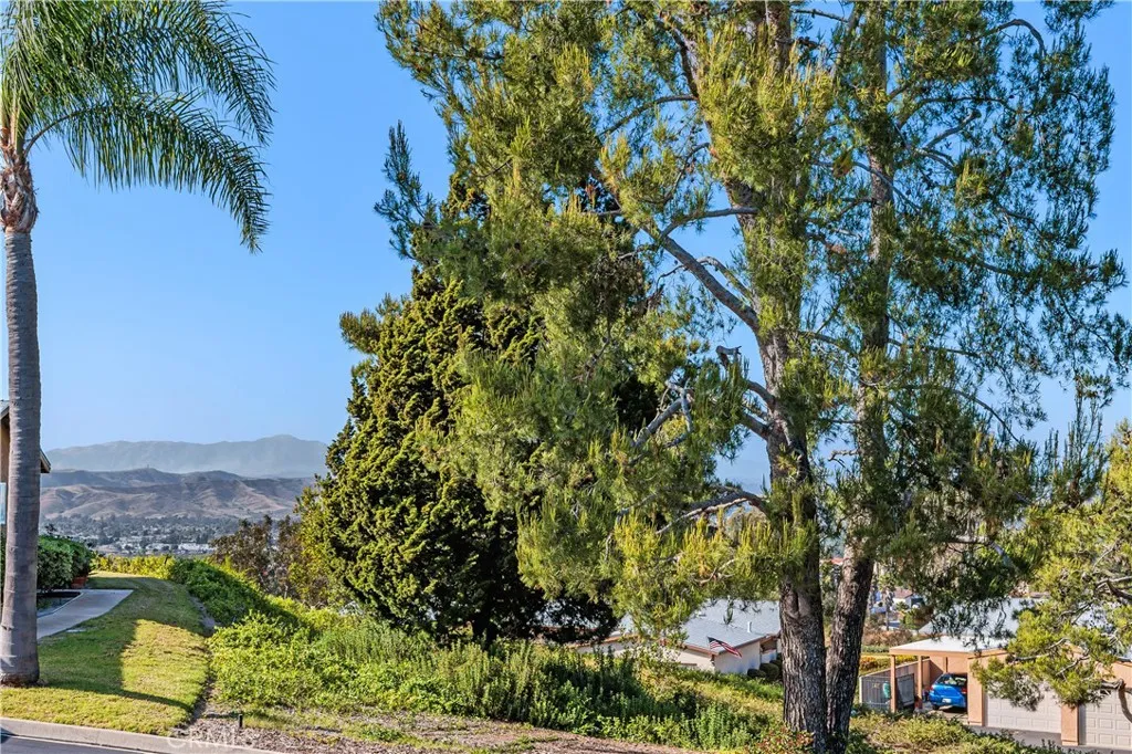 Photo #6: SW26084485 Listing: Photo #6