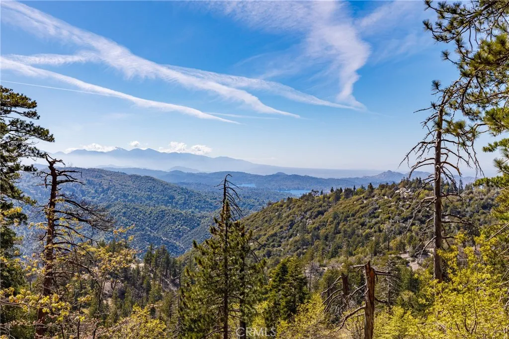 33481 Weeping Willow, Green Valley Lake, CA, 92341