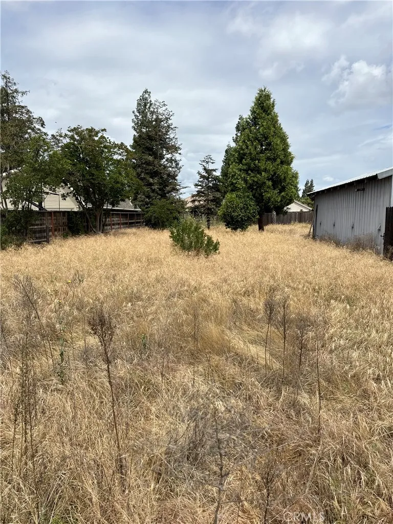 1101 Monte Vista, Turlock, CA, 95382