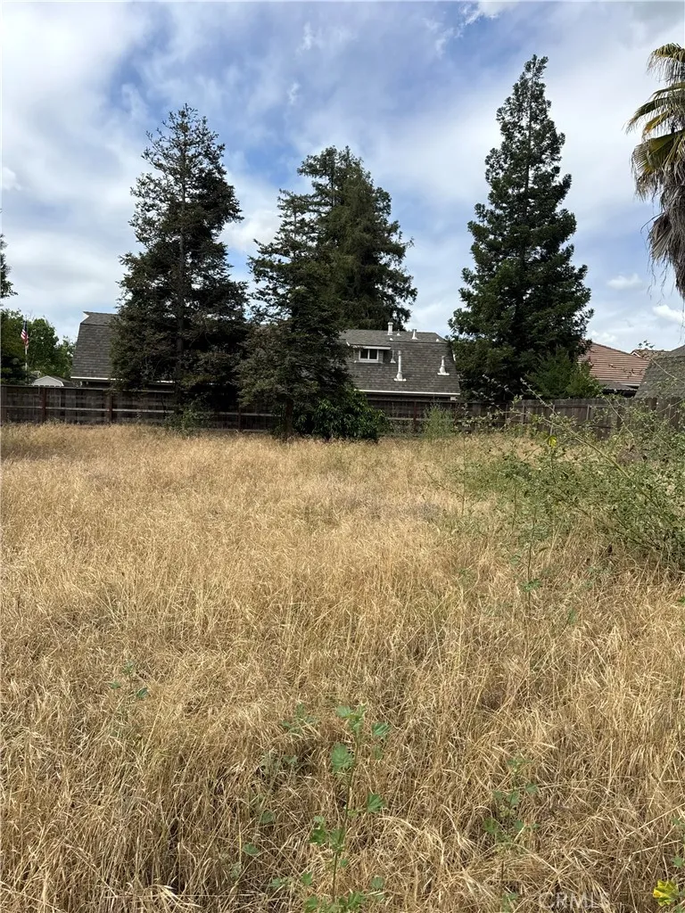 1101 Monte Vista, Turlock, CA, 95382