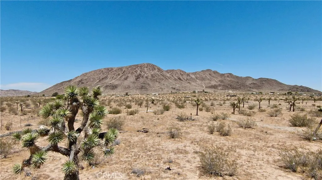 1903 Osgood, Landers, CA, 92285