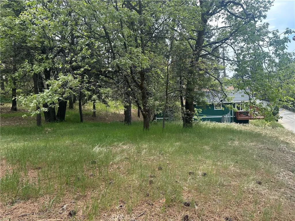 0 Deer Lick Lane, Running Springs, CA 92382 - Photo 2 of 11, Running Springs, CA