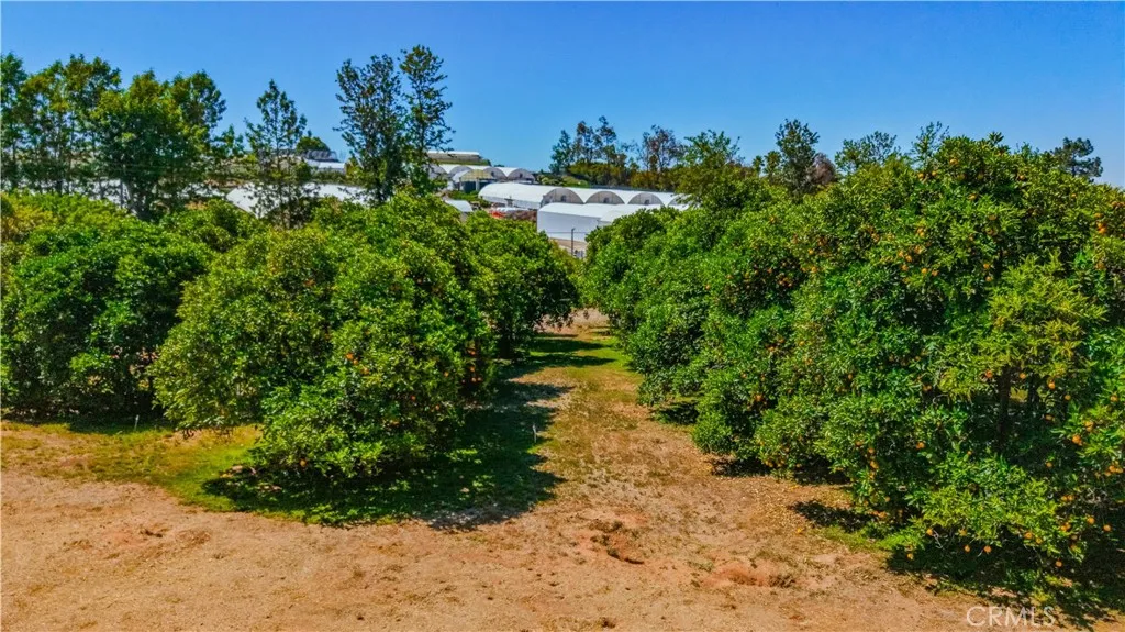 Photo #42: SW26082181 Listing: Photo #42