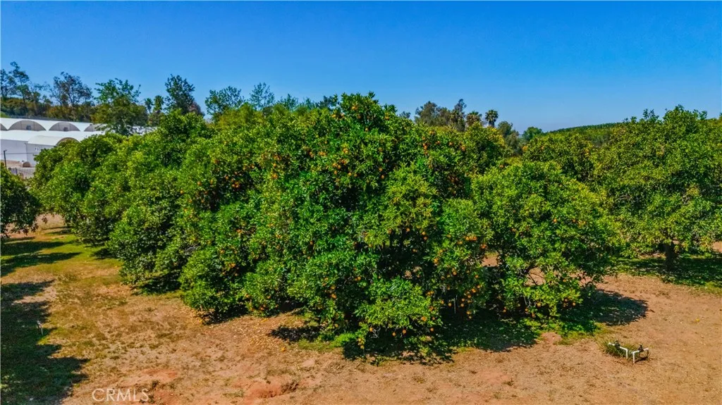 Photo #43: SW26082181 Listing: Photo #43