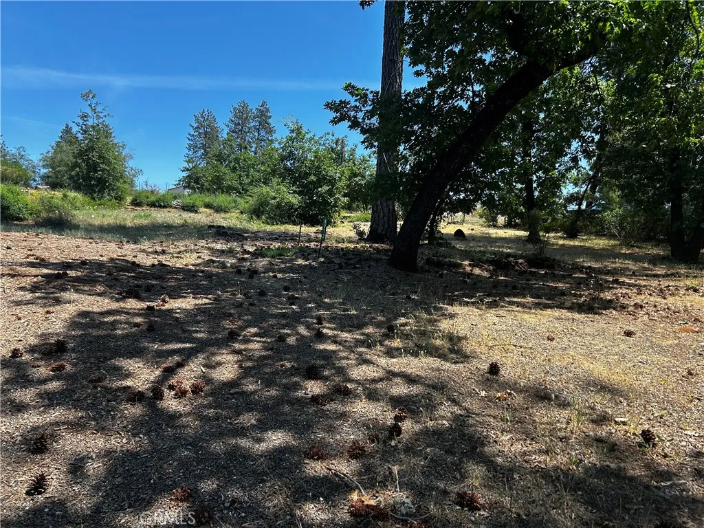 Lakeview Dr, Cedar Glen, CA, 92321