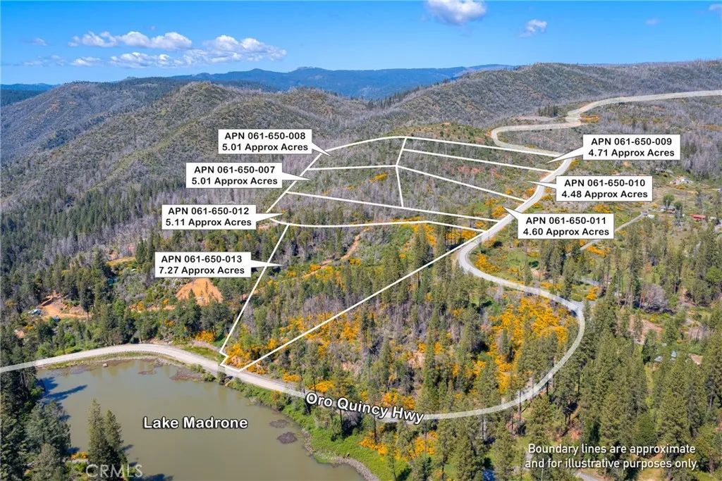 Lakeview Dr, Cedar Glen, CA, 92321