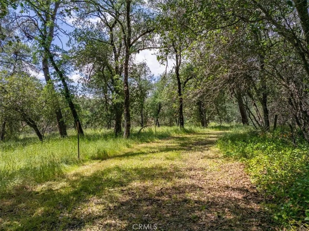 506 Black Canyon, Shasta Lake, CA 96019 - Photo 3 of 10, Shasta Lake, CA