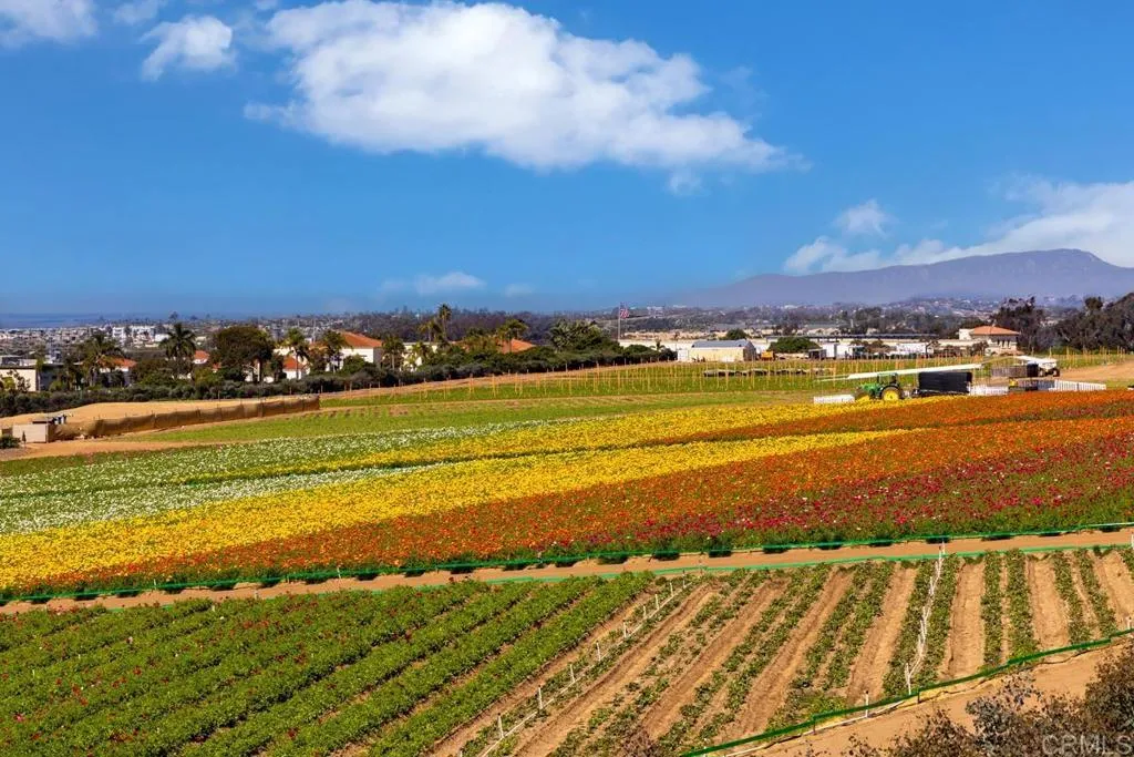 Photo #12: NDP2604123 Listing: Photo #12