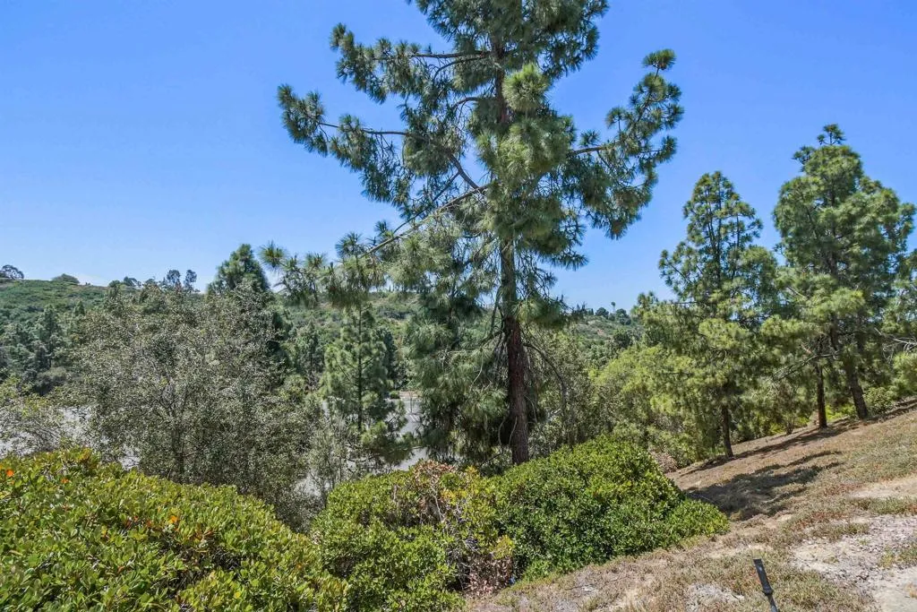 Photo #28: PTP2603267 Listing: Photo #28