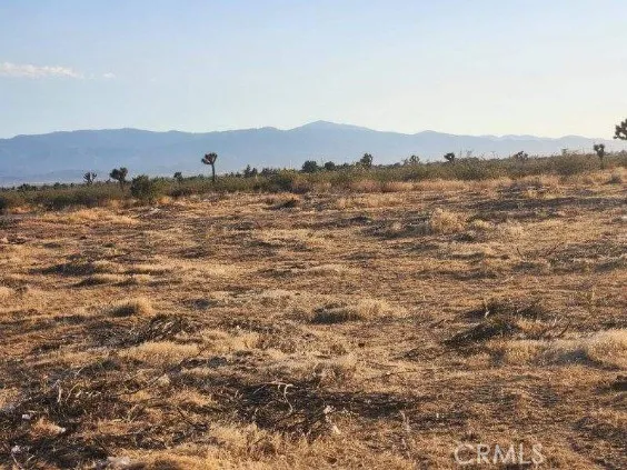 0 Bear Valley, Victorville, CA 92392 - Photo 2 of 18, Victorville, CA