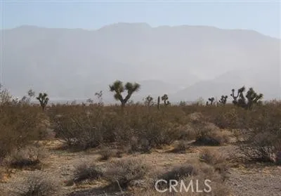 Lucerne Valley, CA 92356