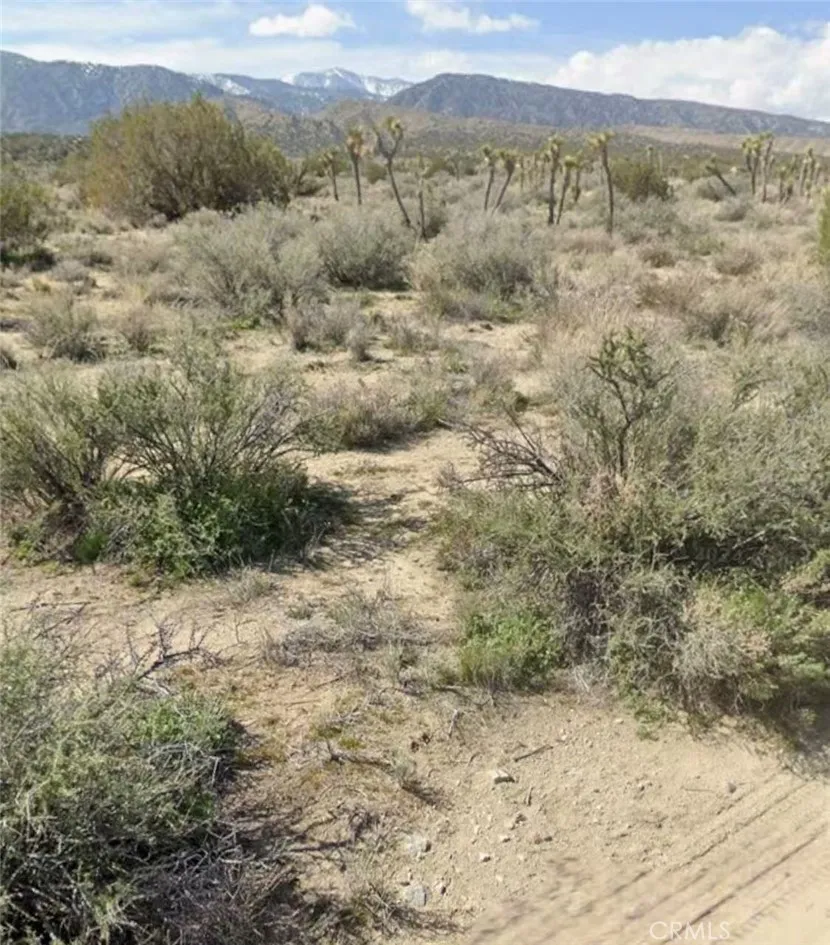 Llano, CA 93544