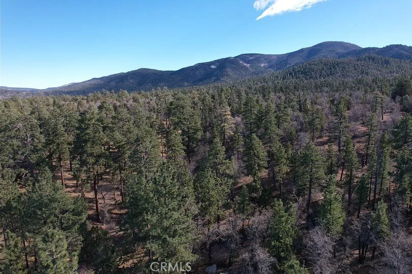 899 Kern, Sugarloaf, CA, 92386