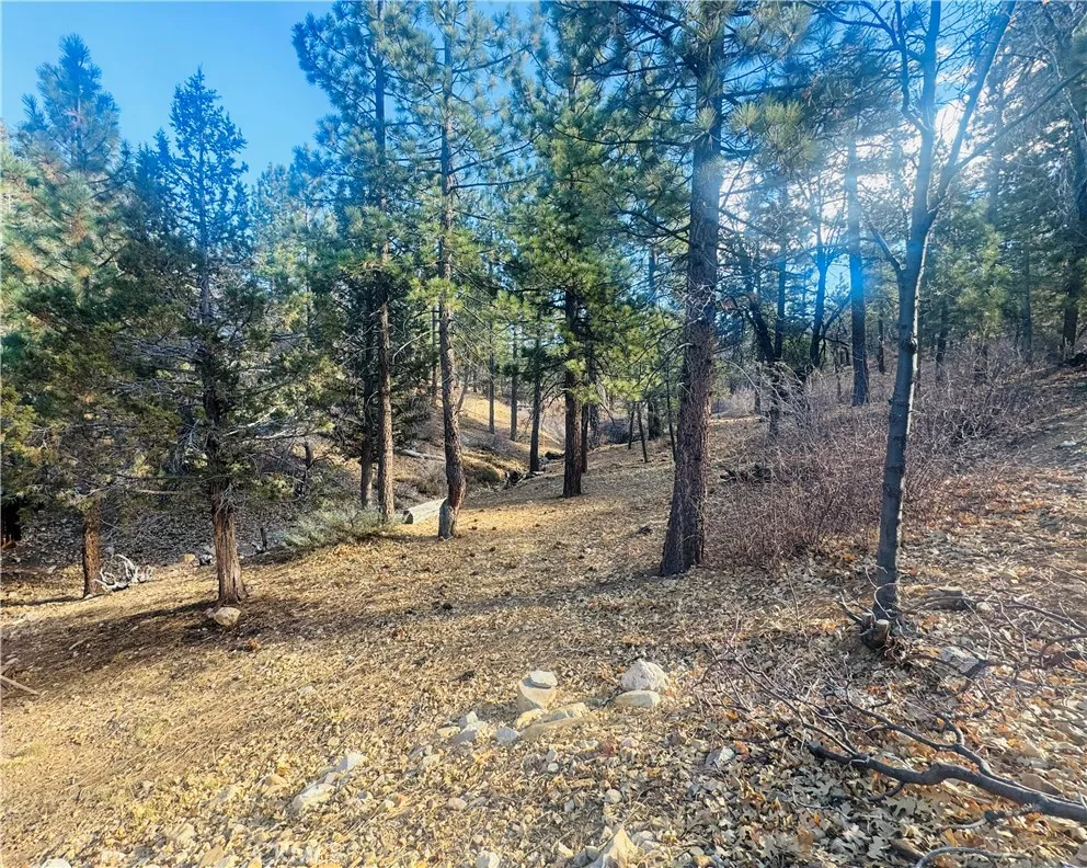 899 Kern, Sugarloaf, CA, 92386
