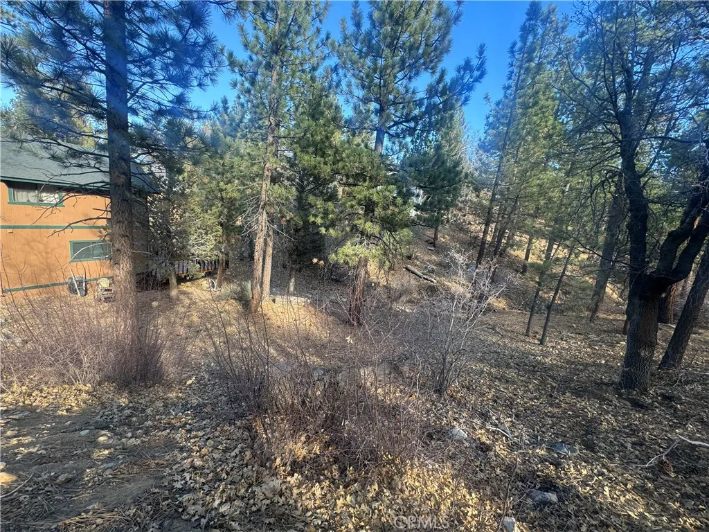 899 Kern, Sugarloaf, CA, 92386