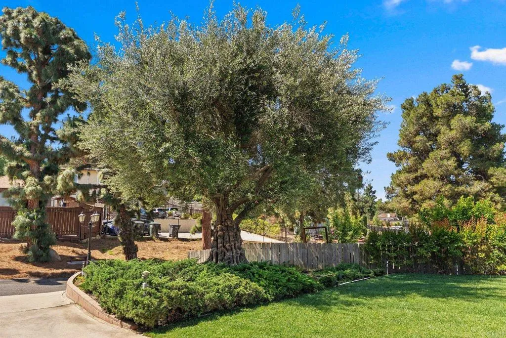 https://cdn.realtyfeed.com/cdn/127/306713258/e627e468b0e902bce22c3d96e6e26523.webp