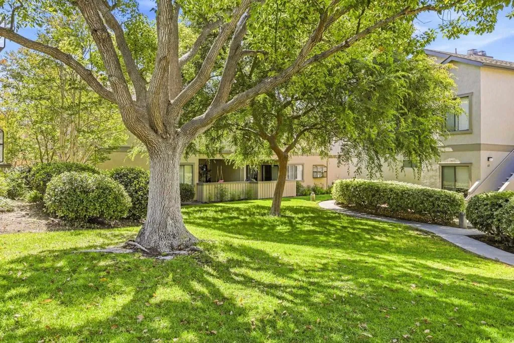 Photo #3: PTP2603541 Listing: Photo #3