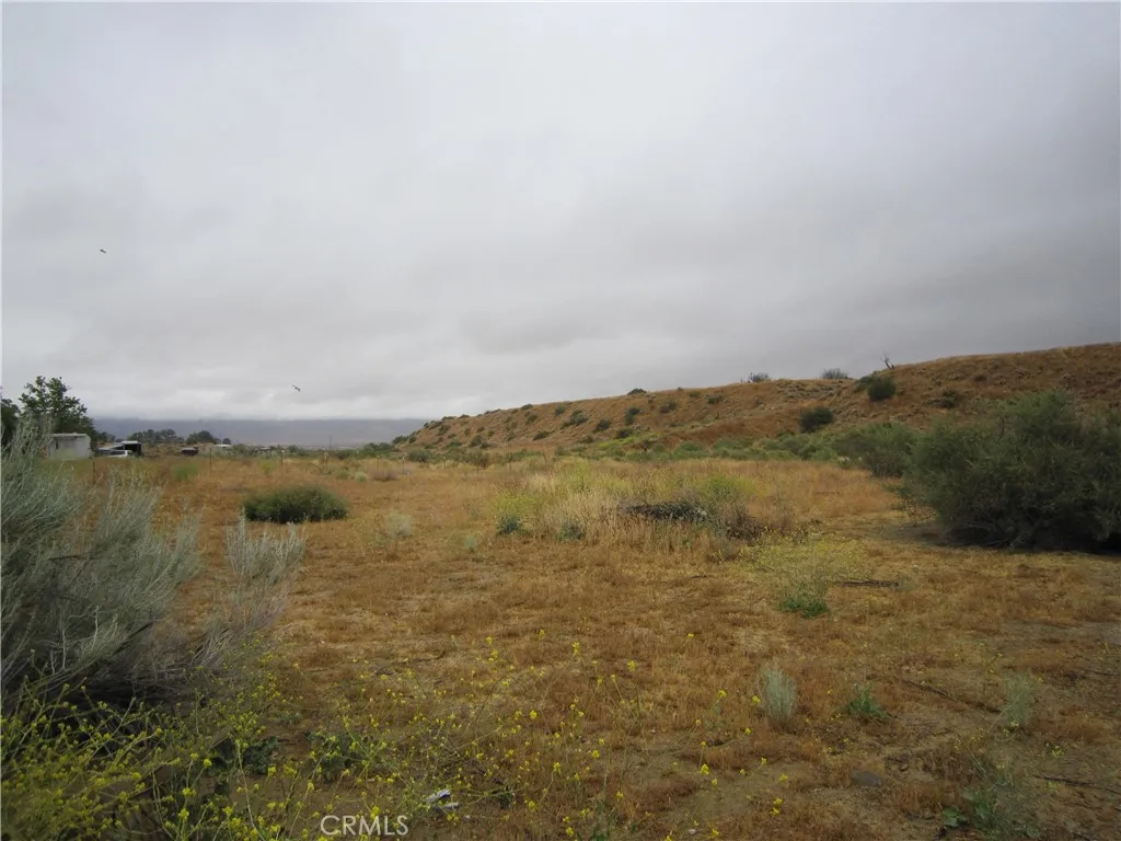 205 Castro Canyon Road, Cuyama, CA 93252 - Photo 4 of 10, Cuyama, CA