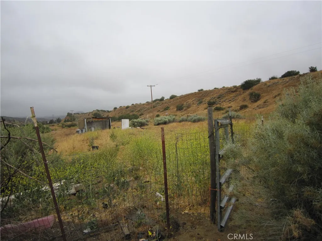 Cuyama, CA 93252
