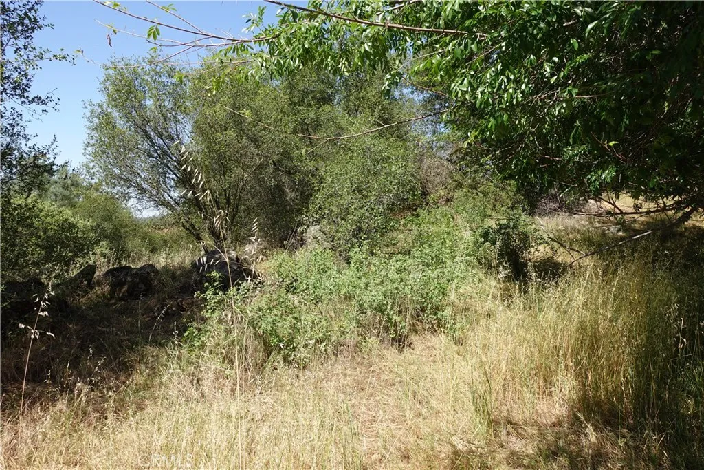 0 Running Deer Way, Coarsegold, CA 93614 - Photo 3 of 11, Coarsegold, CA