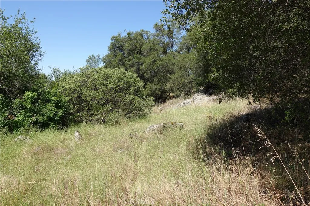 0 Running Deer Way, Coarsegold, CA 93614 - Photo 4 of 11, Coarsegold, CA