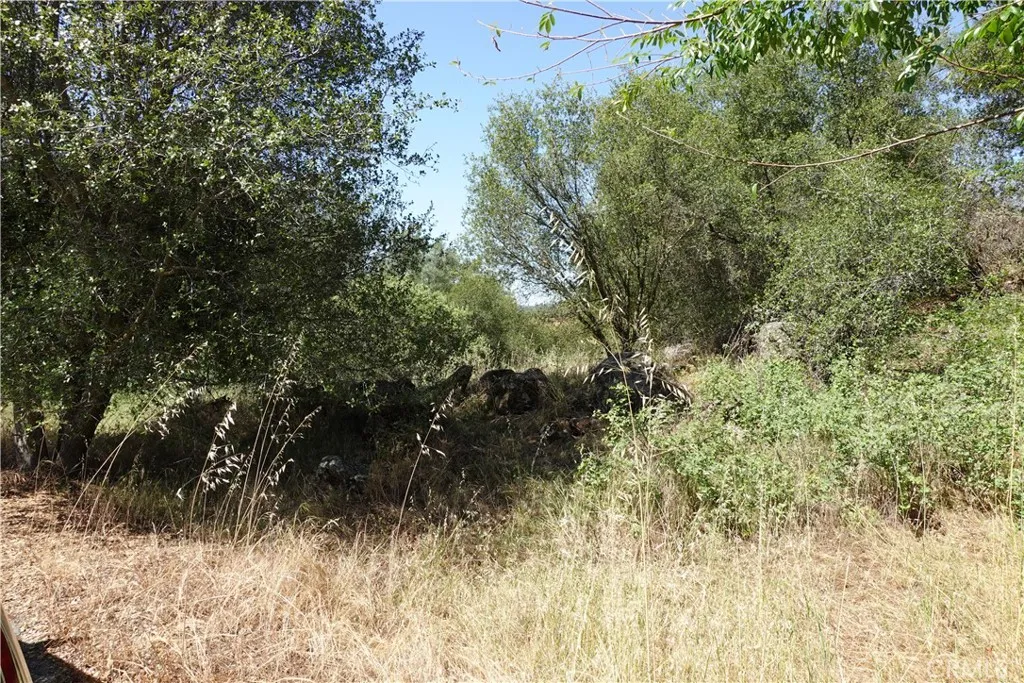 0 Running Deer Way, Coarsegold, CA 93614 - Photo 2 of 11, Coarsegold, CA