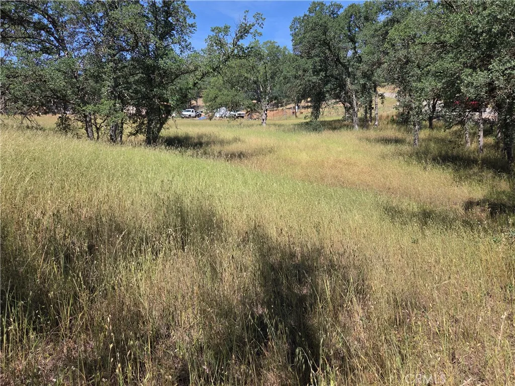 17087 LARAMIE