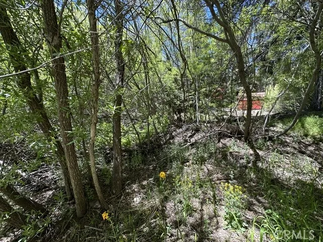 0 Wild Rose, Green Valley Lake, CA 92341 - Photo 4 of 12, Green Valley Lake, CA