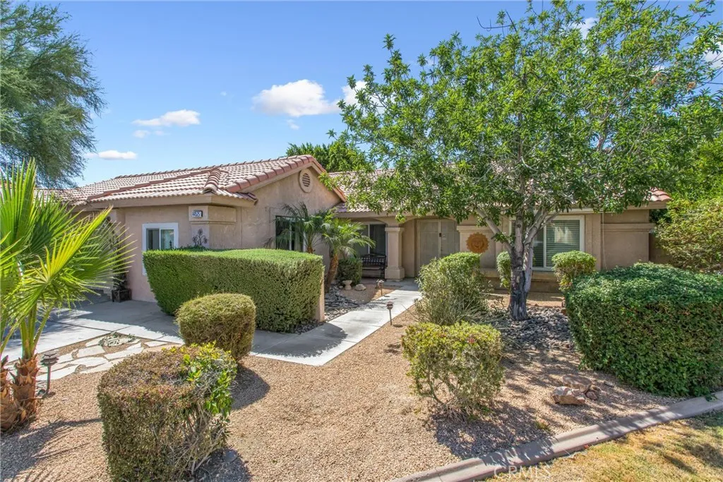44525 Saffron Court