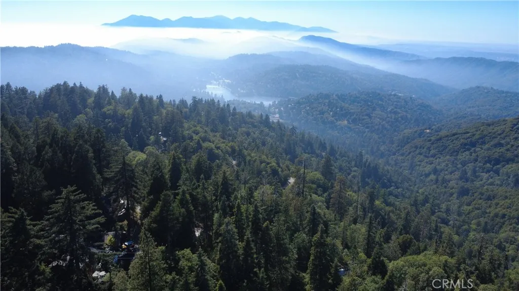 Twin Peaks, CA 92391